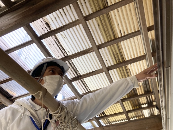 S__2105347.jpg