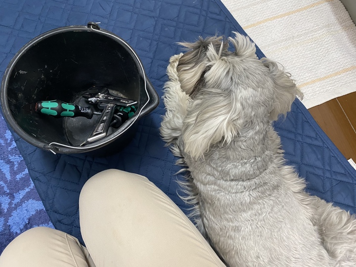 62CF2CD7-8155-49E1-844D-E94E7554764F.jpeg