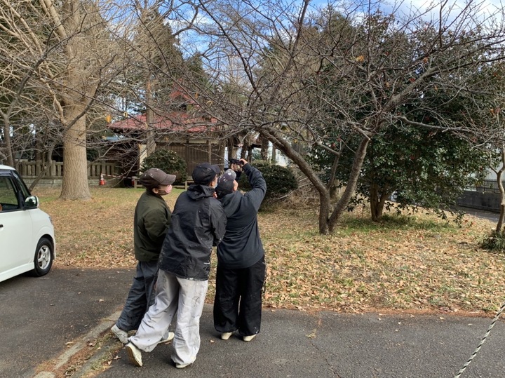 S__29523979.jpg