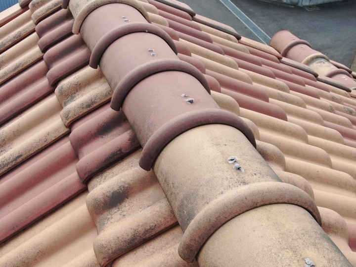 写真 2022-04-24 8 01 49.jpg