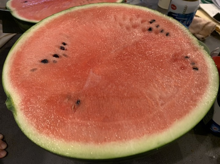 S__357031949.jpg