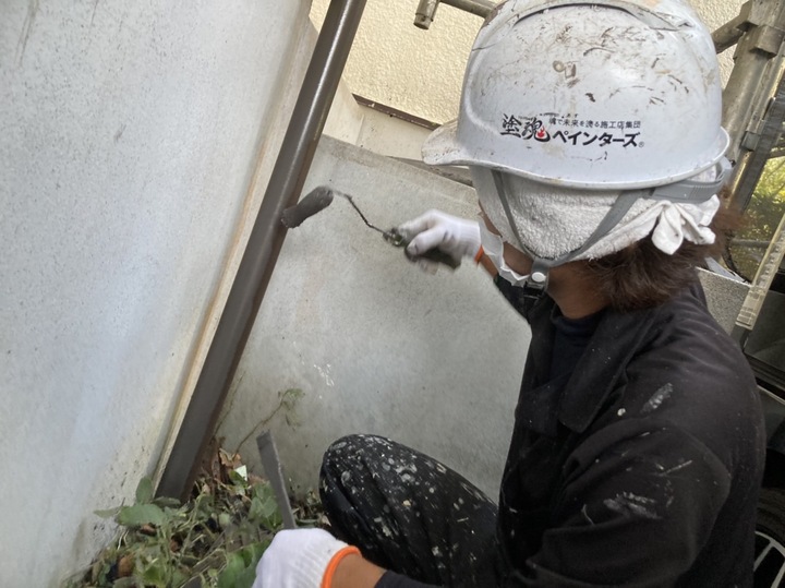 S__28631049.jpg