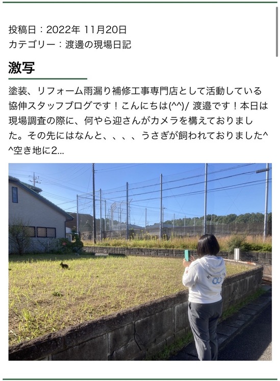 S__419037198.jpg