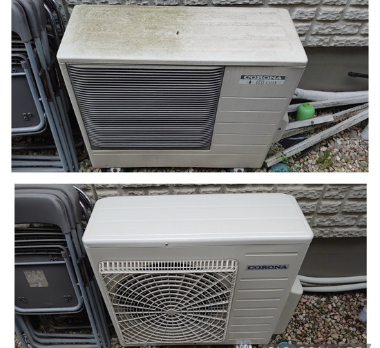 S__8970255.jpg