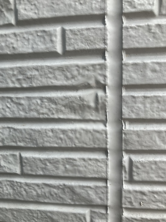 IMG_3361.jpeg