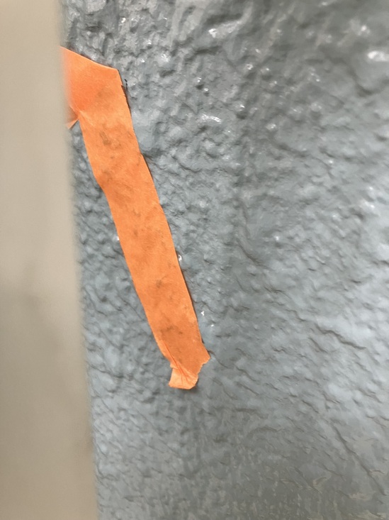 IMG_3484.jpeg
