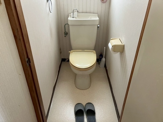 写真 2026-02-16 18 45 32 (14) (1).jpeg