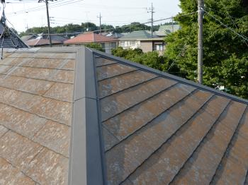 g20141005iza1010.jpg