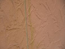 m20140914kza000002.jpg