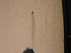 m20140914sta000004.jpg