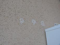 m20140914sta000007.jpg