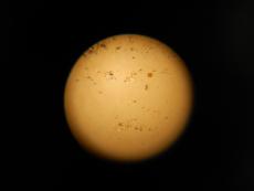 m20150201ima000000.jpg